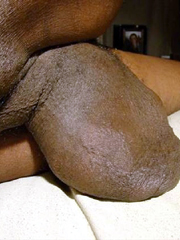 Black Nuts Porn - Big, saggy black nuts